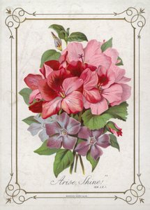 Posy of Flowers by English School